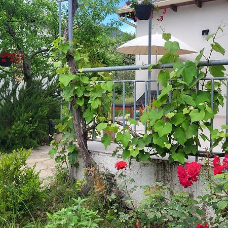 Ioannis Houses - Gemuetliches Ferienhaus Im Olivenhain سكالا بوتامياس المظهر الخارجي الصورة