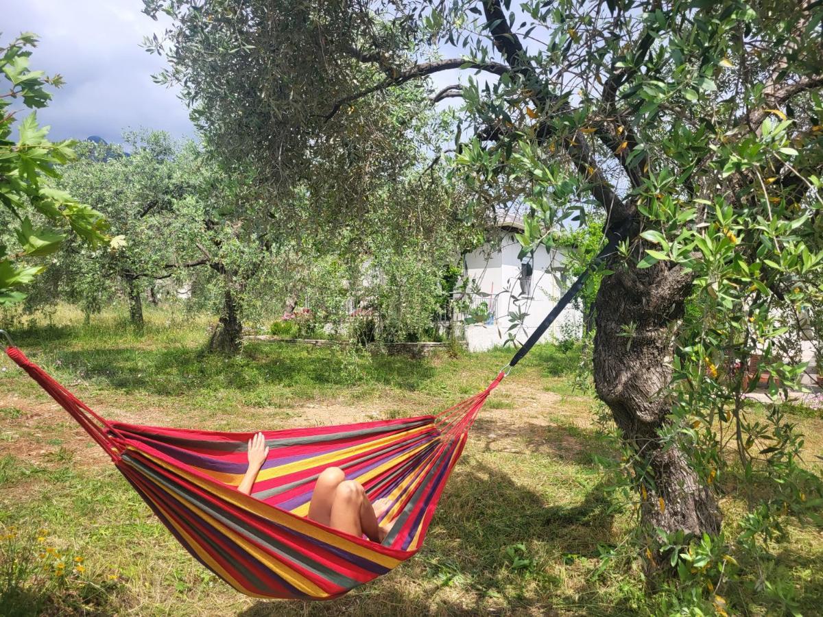 Ioannis Houses - Gemuetliches Ferienhaus Im Olivenhain سكالا بوتامياس المظهر الخارجي الصورة