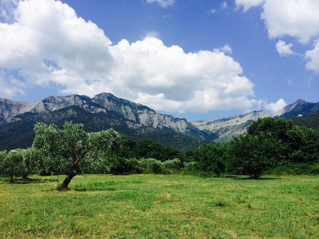 Ioannis Houses - Gemuetliches Ferienhaus Im Olivenhain سكالا بوتامياس المظهر الخارجي الصورة